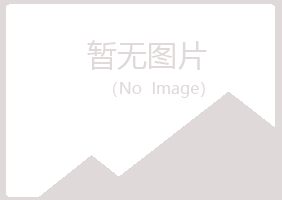 曲阜雪萍化学有限公司